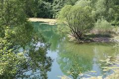 view from viewpoint of filled former gravel pit in nature reserve Am Ginsterpfad in Köln-Weidenpesch