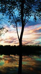 sunset at Am Ginsterpfad nature reserve in Cologne, Germany