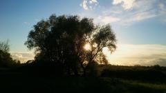 Sunset at Am Ginsterpfad nature reserve in Cologne