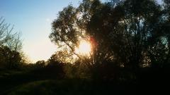 Am Ginsterpfad nature reserve in Cologne, Germany