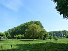 Rheinaue Langel-Merkenich Nature Reserve