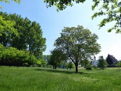 Naturschutzgebiet Rheinaue Langel-Merkenich