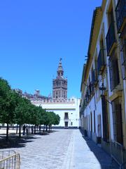 Patio Naranjos in Seville