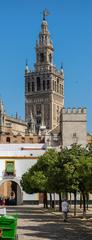 Giralda tower viewed from Patio de Banderas in Seville