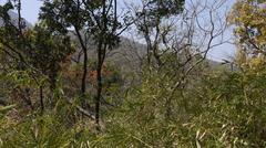 Tungareshwar Wildlife Sanctuary landscape view