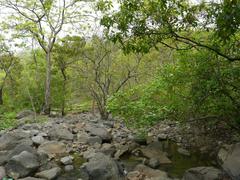 Tungareshwar Wildlife Sanctuary landscape