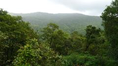 Tungareshwar Wildlife Sanctuary scenic view