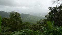 Tungareshwar Wildlife Sanctuary lush landscape