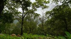 Tungareshwar Wildlife Sanctuary landscape