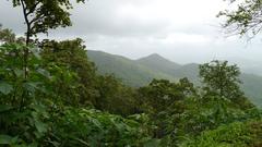 Tungareshwar Wildlife Sanctuary landscape