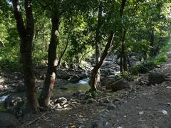 Tungareshwar Wildlife Sanctuary landscape