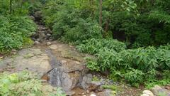 Tungareshwar Wildlife Sanctuary landscape