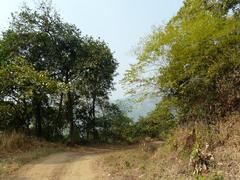 Tungareshwar Wildlife Sanctuary landscape