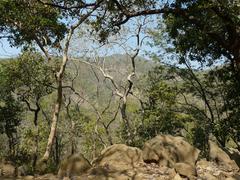 Tungareshwar Wildlife Sanctuary landscape