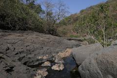 scenic ravine in Tungareshwar Wildlife Sanctuary