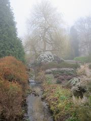 Heather garden in Isabella Plantation