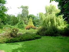 Isabella Plantation in Richmond Park, London