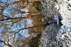 Isabella Plantation middle stream in the snow