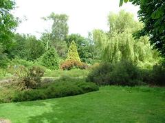 Isabella Plantation in Richmond Park