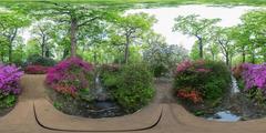 central stream of Isabella Plantation in Richmond Park, London