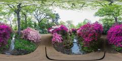 central stream of Isabella Plantation in Richmond Park, London