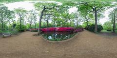 equirectangular image of Still Pond in Isabella Plantation, Richmond Park, London