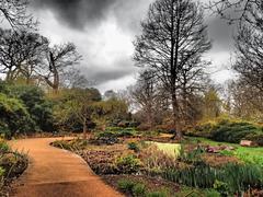 London Borough of Richmond upon Thames panorama