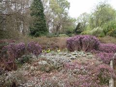 London Borough of Richmond upon Thames panoramic view