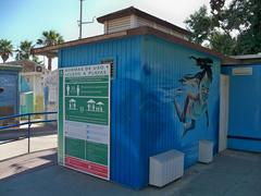 Partial view of Lalo Luque's mural at Misericordia Beach in Málaga, Spain