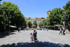 Plaza Bib Rambla in Granada, Spain