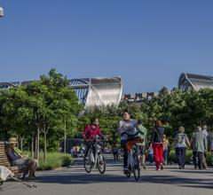 people riding bicycles in Madrid Rio park