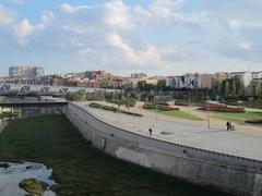 Park design at Madrid's riverfront