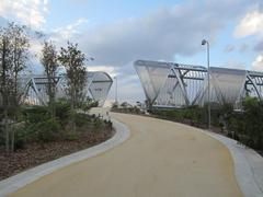 path leading towards a bridge surrounded by lush greenery