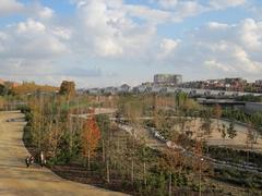 public gardens along Madrid's river