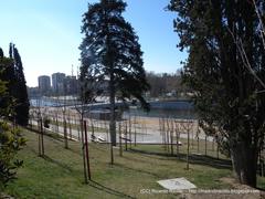 Madrid Río Puente del Rey