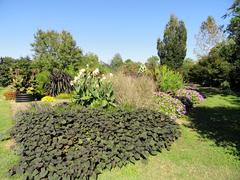 J. C. Raulston Arboretum at North Carolina State University