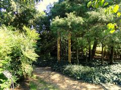 General view of J. C. Raulston Arboretum