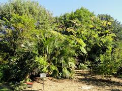 General view of J. C. Raulston Arboretum