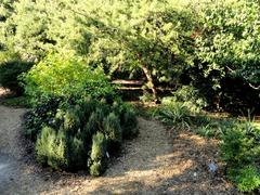 General view of J. C. Raulston Arboretum