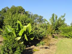 General view of the J. C. Raulston Arboretum