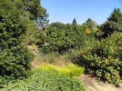 J. C. Raulston Arboretum general view