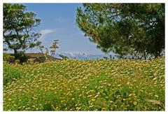 Fortezza of Rethymno on a sunny day