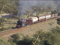 3020 Steam Locomotive in Naivasha