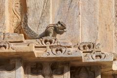 Northern palm squirrel on the wall of Jagdish Temple in Udaipur