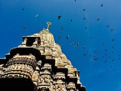 ASI monument with birds perched on top