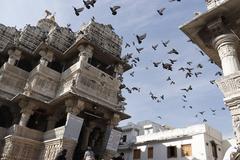 Birds passing in front of Jagdish Temple, Udaipur