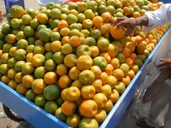 Kamala fruit for sale in Nellore