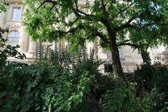 Jardin de la Nouvelle-France with the Palais de la Découverte in the background, Paris