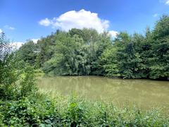 Scenic view of the Naturschutzgebiet Rotthäuser Bachtal with lush green meadows and a flowing stream