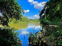 Scenic view of ponds in Naturschutzgebiet Rotthäuser Bachtal